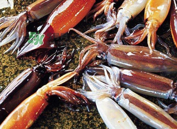 魷魚(yú)是堿性食物嗎？魷魚(yú)是酸性還是堿性？