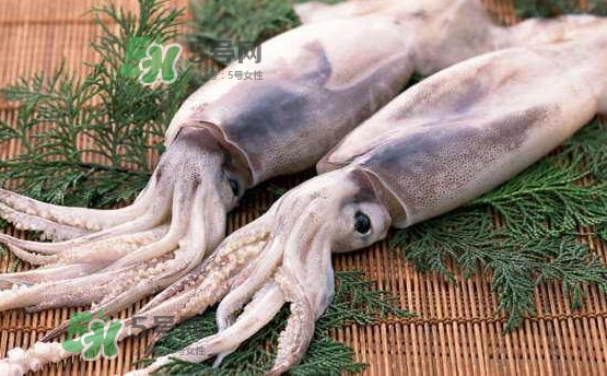 魷魚(yú)是海魚(yú)嗎？魷魚(yú)怎么炒好吃