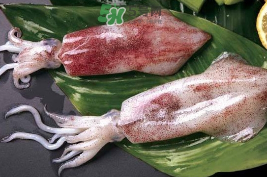 新鮮魷魚怎么處理？魷魚怎么清洗？