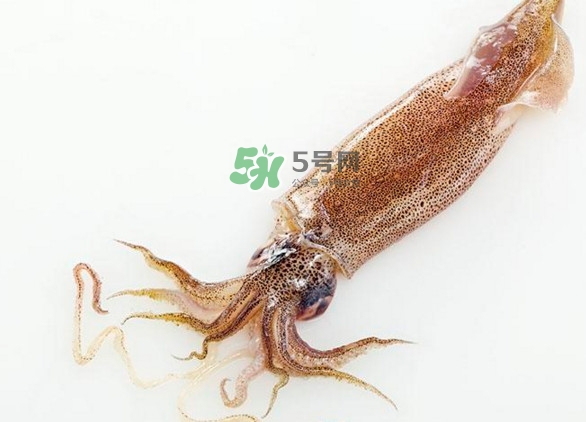 魷魚要焯水嗎？魷魚怎樣焯水