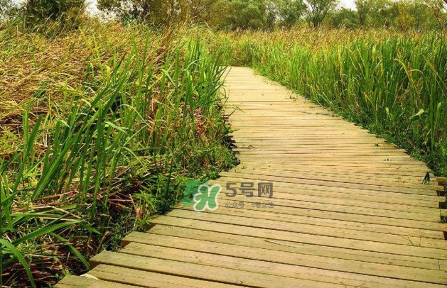 心碎綜合癥是抑郁癥嗎？心碎綜合癥怎么治療