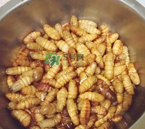蜂蛹怎么保存？蜂蛹怎么做好吃？