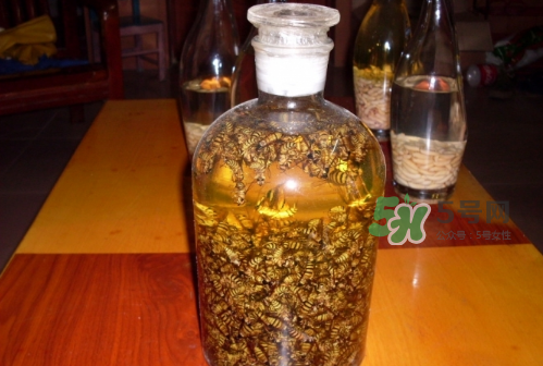 蜂蛹和枸杞能一起泡酒嗎？蜂蛹和枸杞泡酒的功效