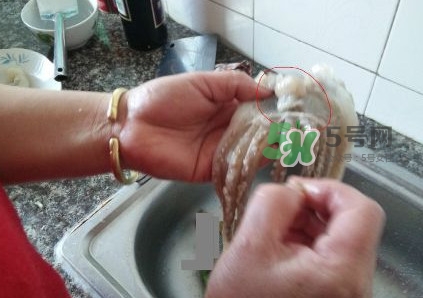 魷魚(yú)是堿性食物嗎？魷魚(yú)是酸性還是堿性？