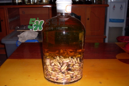 蜂蛹和枸杞能一起泡酒嗎？蜂蛹和枸杞泡酒的功效