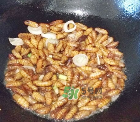 蜂蛹怎么保存？蜂蛹怎么做好吃？