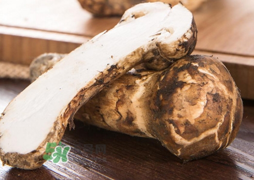 新鮮松茸怎么挑選？干松茸如何挑選