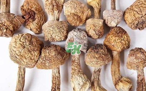 干松茸要泡多久？干松茸用冷水泡還是溫水泡好