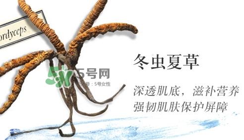 菌菇水是哪個(gè)國(guó)家的？悅木之源菌菇水是日本的嗎