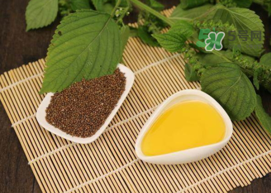 紫蘇水可以天天用嗎？紫蘇水的功效與作用