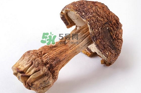 產(chǎn)婦能吃松茸嗎？哺乳期可以吃松茸嗎