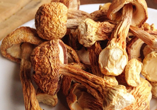 干松茸怎么清洗？干松茸如何辨別真?zhèn)?><p><strong>干松茸怎么清洗？干松茸如何辨別真?zhèn)?/strong></p></a></li> <li><a href=