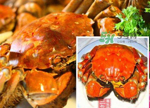 紅印蟹怎么回事？紅印蟹有什么不同？