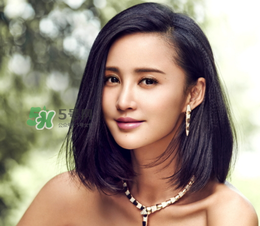 張歆藝前夫楊樹鵬為什么這么回應(yīng)？張歆藝和前夫楊樹鵬感情糾葛
