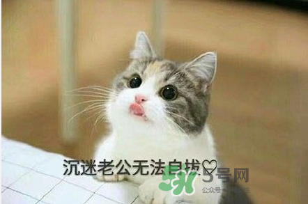南方老公和東北老公哪個(gè)好？南方老公和東北老公的區(qū)別
