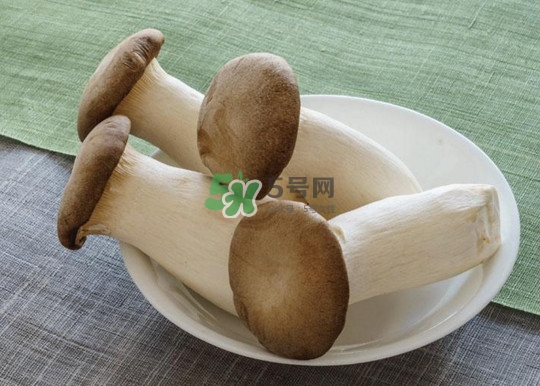 杏鮑菇怎么清洗？杏鮑菇怎么保存