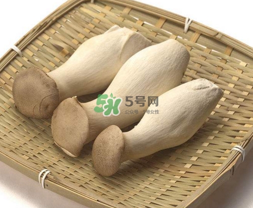 杏鮑菇有什么營(yíng)養(yǎng)價(jià)值？杏鮑菇產(chǎn)地在哪里