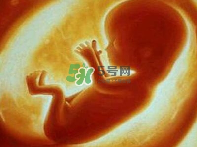 臍帶繞頸是什么原因造成的？臍帶繞頸是多休息還是多運(yùn)動？