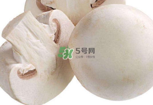 新鮮白蘑菇怎么做好吃？白蘑菇有什么好處