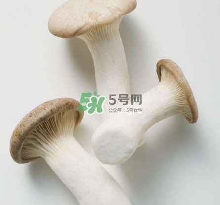 杏鮑菇用水焯嗎？杏鮑菇怎么做好吃