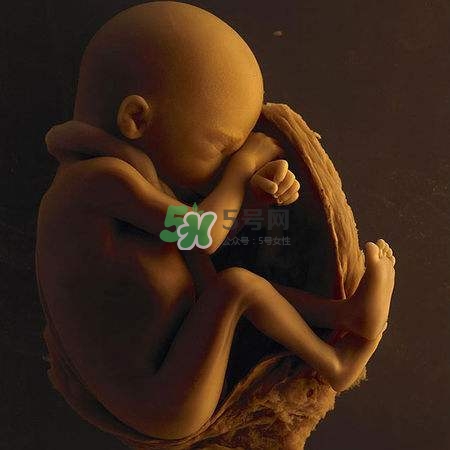 臍帶繞頸是什么意思？臍帶繞頸兩周怎么糾正？