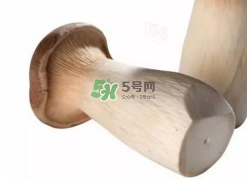 杏鮑菇有苦味還能吃嗎？杏鮑菇有酒味是壞了嗎