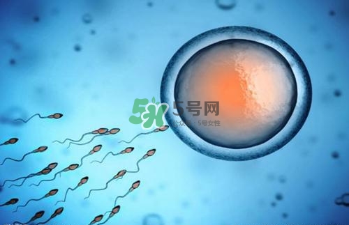 精子在女性體內(nèi)可以存活多久？男性的精子會枯竭嗎？