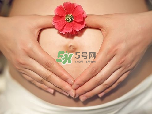 秋天孕婦可以吃絲瓜嗎？秋天孕婦吃絲瓜好嗎？