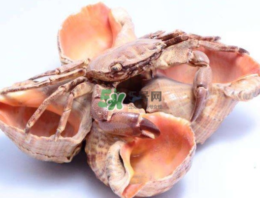 螃蟹殼里的東西是什么？螃蟹殼里什么不能吃？