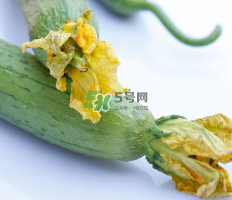 秋天絲瓜有毒嗎？秋天絲瓜能吃嗎？