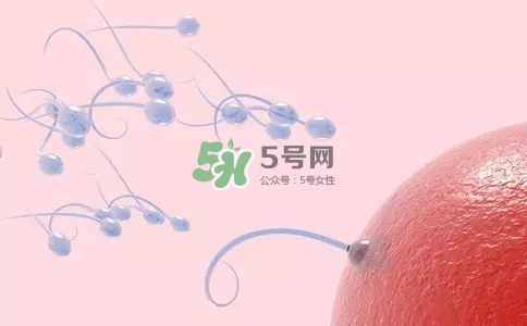 精子在女性體內(nèi)可以存活多久？男性的精子會枯竭嗎？