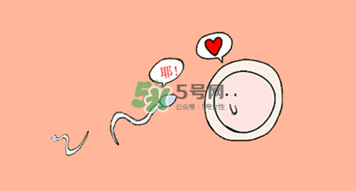 精子在女性體內(nèi)可以存活多久？男性的精子會枯竭嗎？