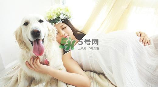 孕婦不能養(yǎng)寵物嗎？為什么孕婦不能養(yǎng)寵物？