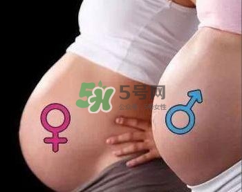 為什么孕婦的肚子有尖有圓？孕婦肚子尖圓對(duì)照?qǐng)D