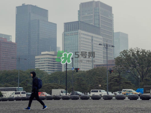 citera是什么牌子？citera是什么檔次？