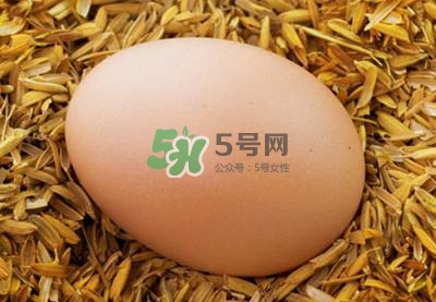 芝麻醬和雞蛋能一起吃嗎？雞蛋可以和芝麻醬一起吃嗎