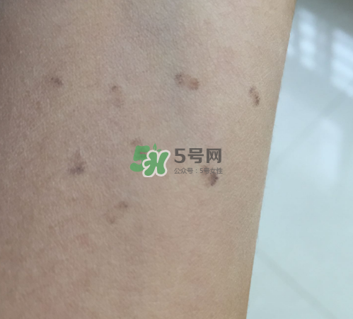 bobbi brown粉餅多少錢？芭比波朗粉餅價格