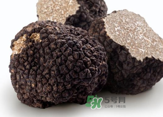 松露是什么樣子的？松露是怎么形成的