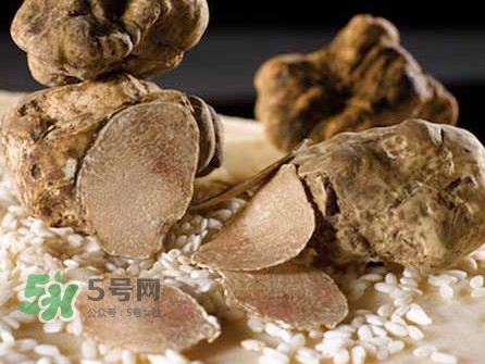 松露為什么那么貴？松露為什么這么貴？