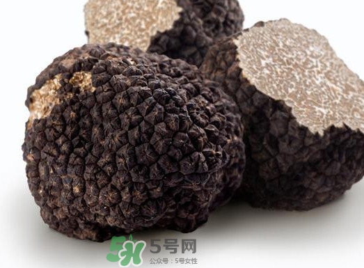 松露產(chǎn)地在哪里？松露有什么作用