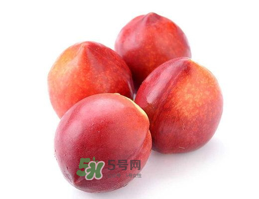 九月份還有桃子嗎？9月份成熟的桃子有幾種？