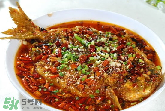 黑魚能愈合傷口嗎？黑魚為什么對(duì)傷口愈合？