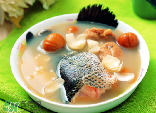 黑魚能愈合傷口嗎？黑魚為什么對(duì)傷口愈合？