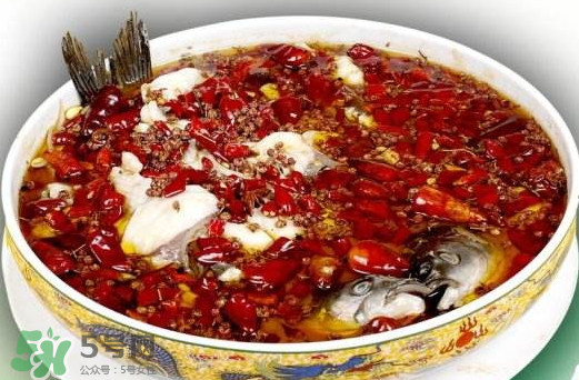 鯉魚可以做水煮魚嗎？水煮鯉魚的做法
