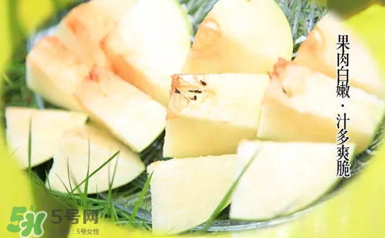 綠寶石梨多少錢(qián)一斤？綠寶石梨價(jià)格表