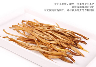 新鮮黃花菜怎么保存？干黃花菜怎么保存