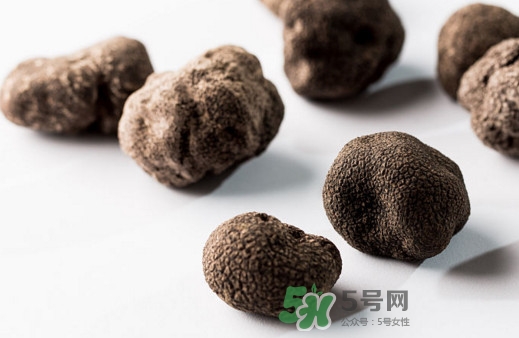松露對女人有什么好處？松露對男人有什么好處