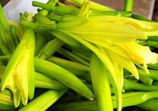 黃花菜開花了還能吃嗎？開花的黃花菜可以吃嗎