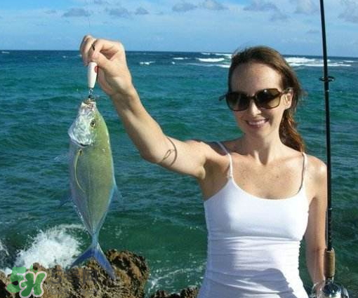 9月份釣什么魚(yú)？9月份釣草魚(yú)嗎？