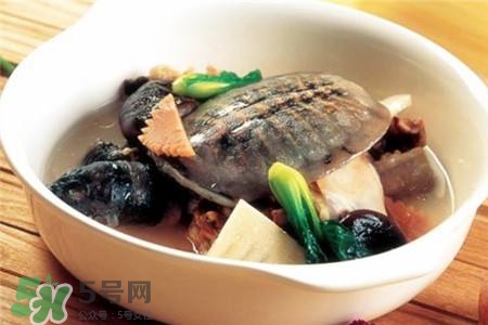 產(chǎn)婦能吃甲魚嗎？產(chǎn)婦能吃甲魚湯嗎？